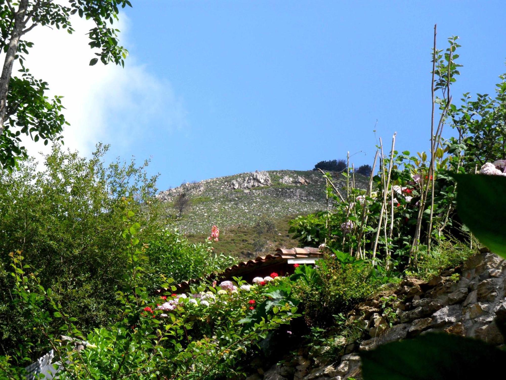 Casa Rural La Posada Del Alba Alea Kültér fotó