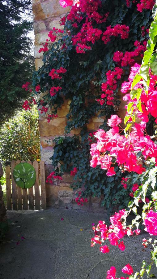 Casa Rural La Posada Del Alba Alea Kültér fotó